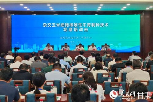 雜交玉米細胞核雄性不育制種技術(shù)觀摩培訓會在甘肅張掖成功舉辦，助力技術(shù)推廣與服務(wù)提升