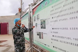 科技賦能，服務(wù)引領(lǐng) 技術(shù)推廣在脫貧攻堅(jiān)與農(nóng)民增收中的核心作用